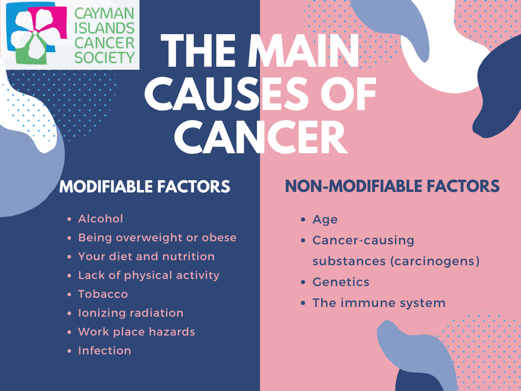 essay on causes of cancer